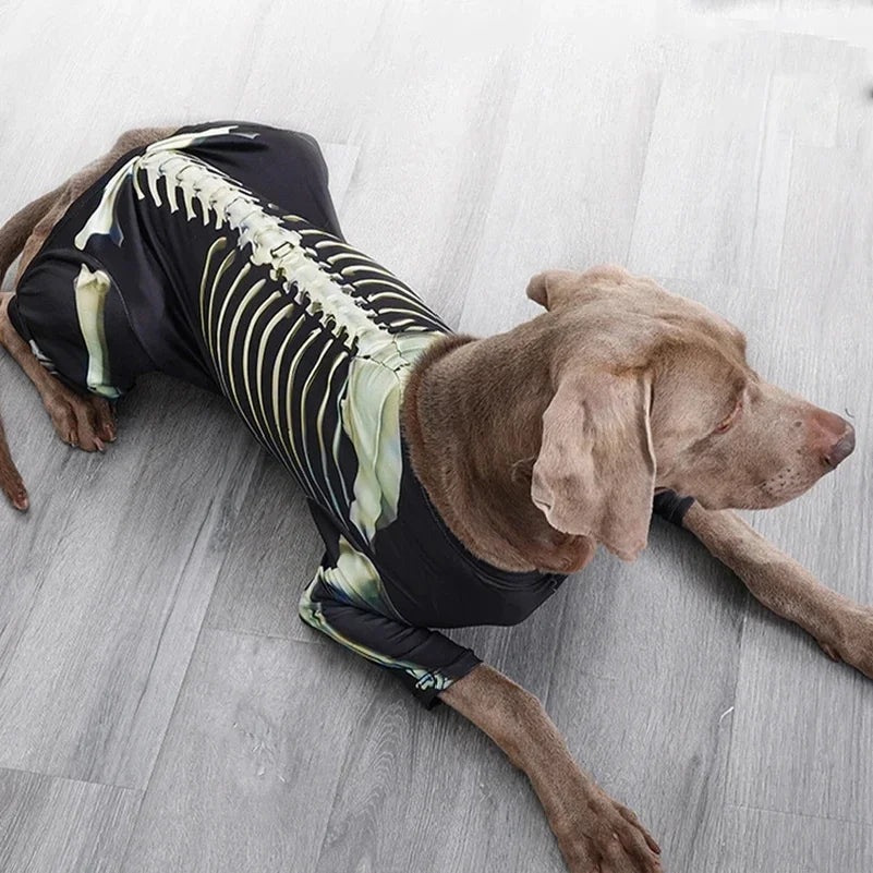 Spooky Skeleton Dog Outfit
