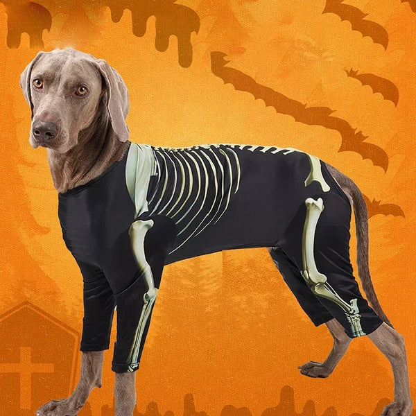 Spooky Skeleton Dog Outfit