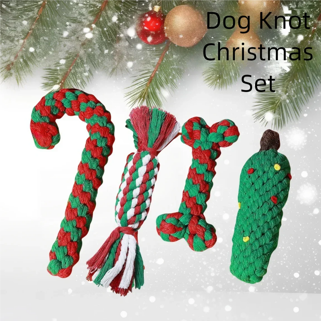 Festive Dog Chew Toy Set