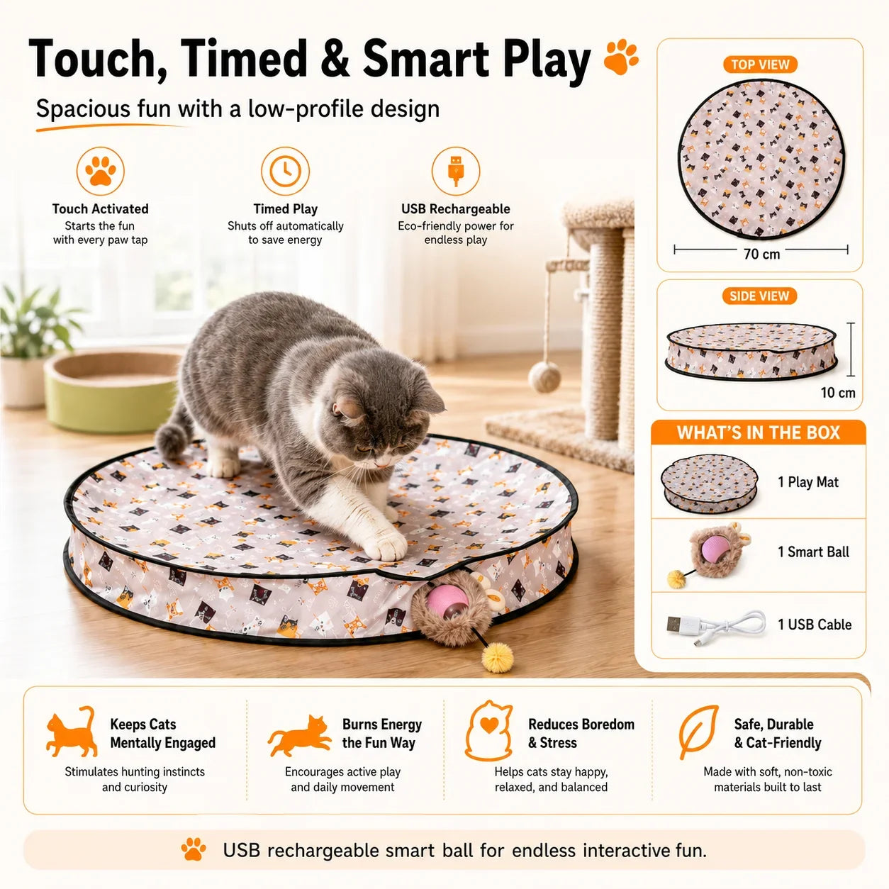 Chasing Cat Toy Set